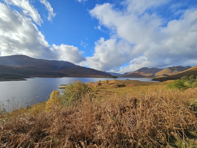 20231022_134056.jpg